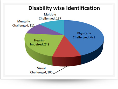 Disability Wise Identification