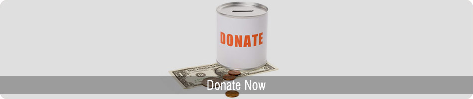 Donate Now